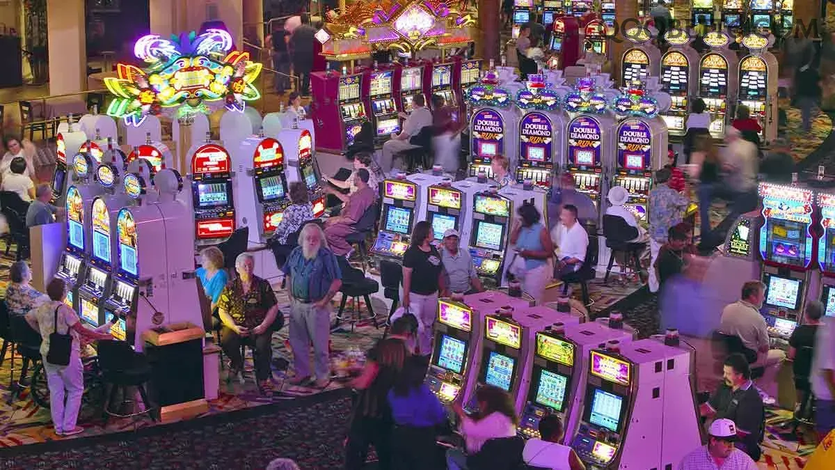 App qqqbet slots mobile